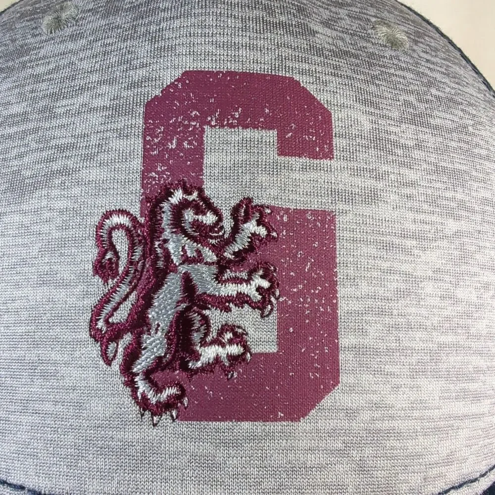 Harry Potter Gryffindor Hat Youth Strap Back Adjustable Gray/Navy Cap 2018